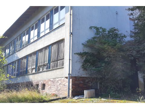 Foto 10